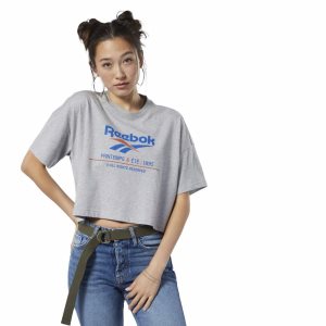 Crop Top Damskie Reebok Classic Logo Szare PL 72OYKVJ